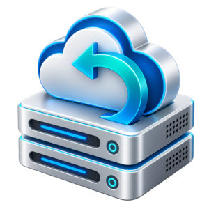 Data backup and recovery services